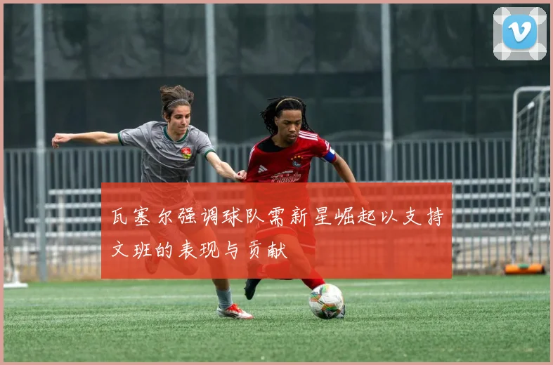 瓦塞尔强调球队需新星崛起以支持文班的表现与贡献