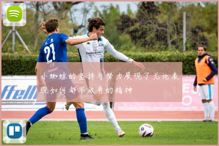 小蜘蛛的坚持与努力展现了无论表现如何都不放弃的精神